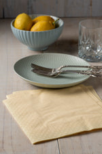 Servilleta Papel 40x40